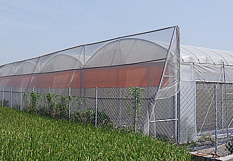 SG-01 圓拱型精密溫室