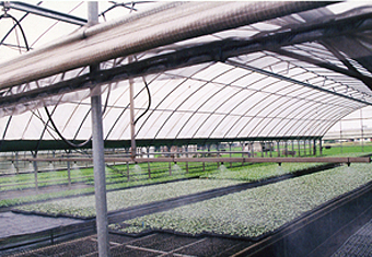 SG-02 圓拱型簡固溫室