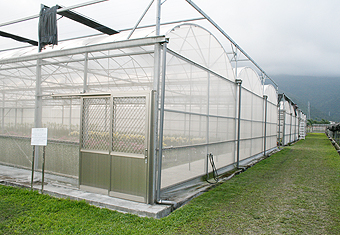 SG-02 圓拱型簡固溫室