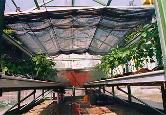 SG-06 特殊型規格溫室