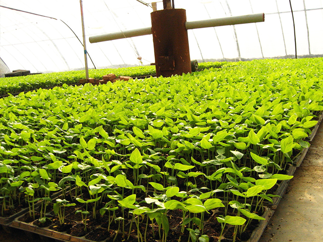 環境控制設計/工程